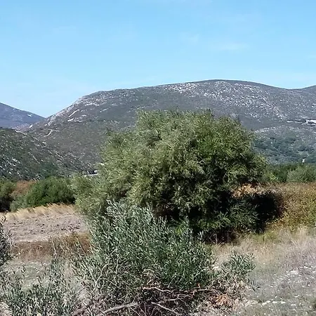 Gabriel * Kardhakáta